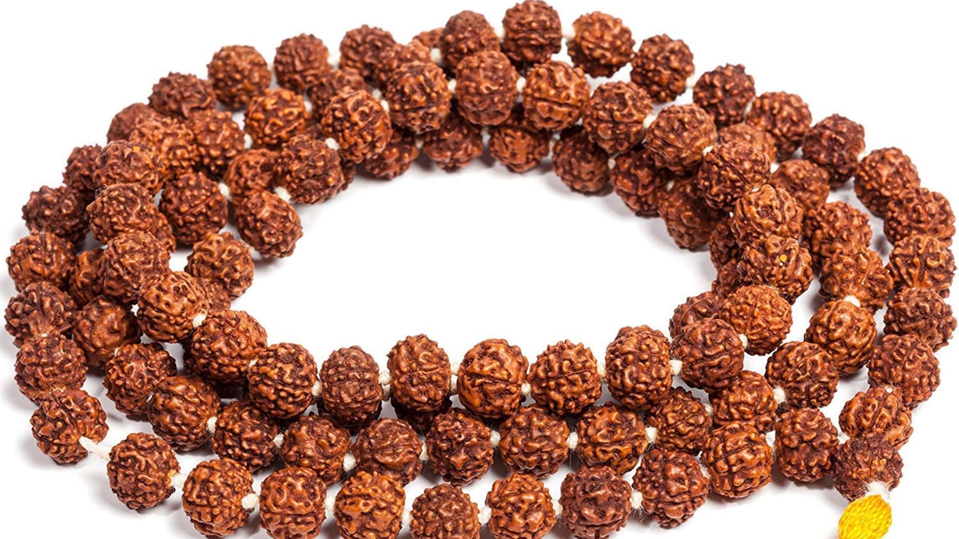 Sawan auspicious things Bring these items home before Sawan for Shiva and Lakshmi blessings