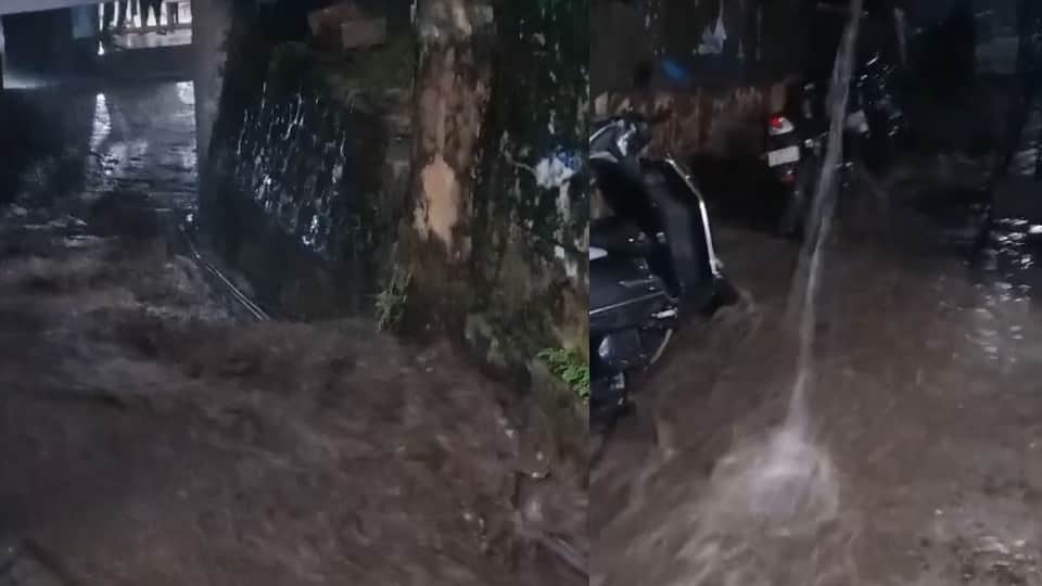 उफान पर आया नाला