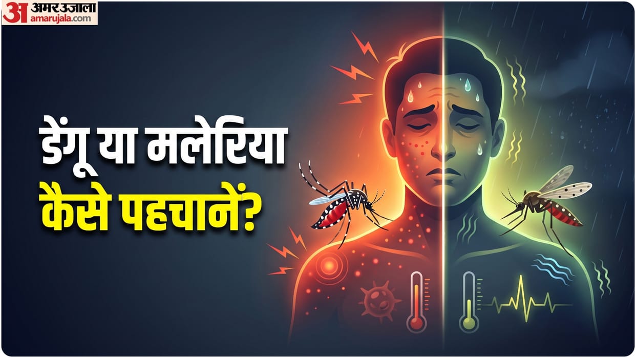 When to go for a dengue or malaria test after a fever know malaria vs dengue symptoms