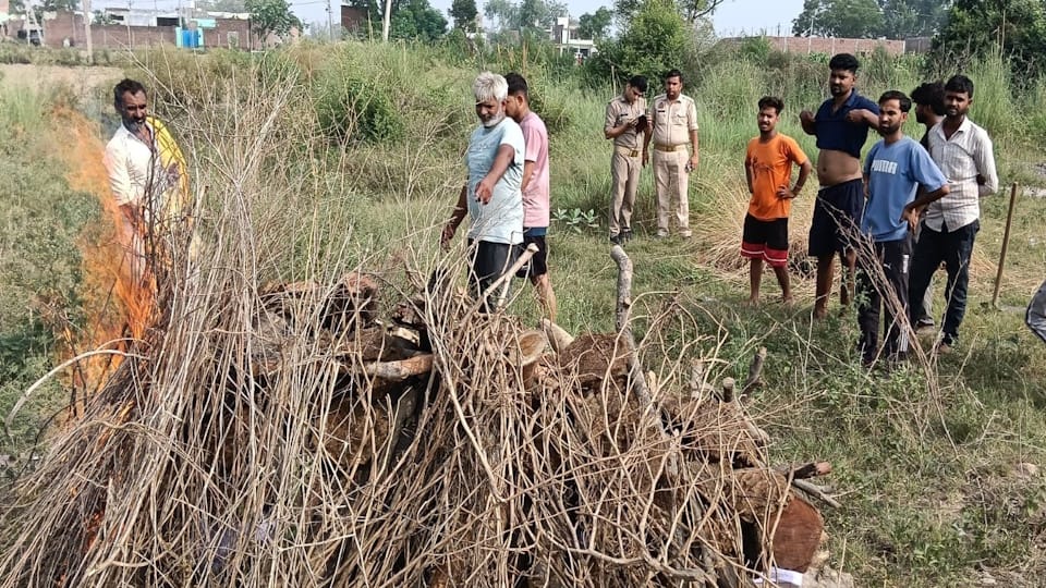 UP Crime News: Firozabad Woman After Brutal Murder My Husband Was Killed Before My Eyes