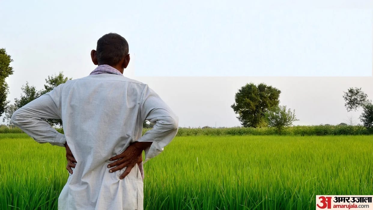 Don't panic due to delay in monsoon, sow and plant paddy on time - Agricultural scientist in Chhattisgarh