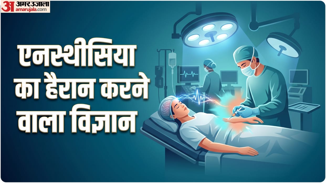 What is anesthesia used for how does its work know anesthesia kaise kaam karta hai