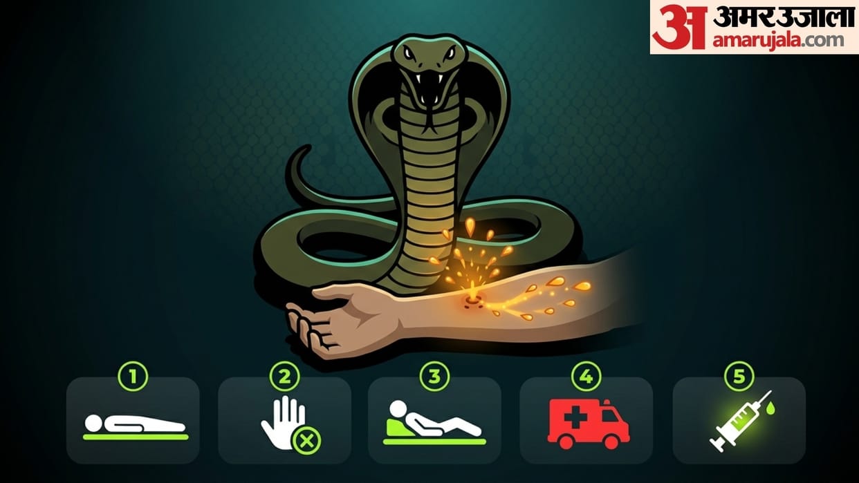 Snake Bite First Aid What to Do Immediately Why Should Patient to Be Kept Awake