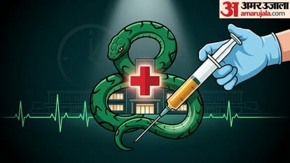 snake bite tips
