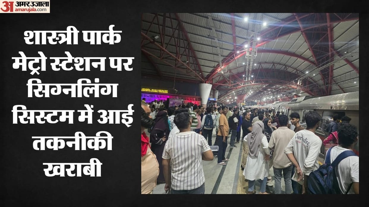 Red Line services slowed down due to a signal failure passengers faced an hour-long ordeal in Delhi