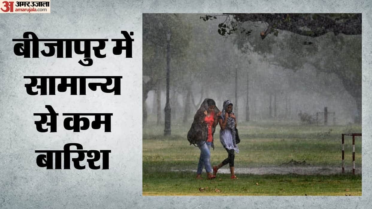 Land Records Branch of Collector Office in Korba release rainfall report