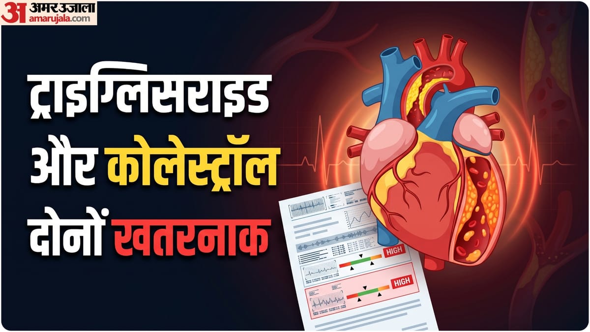 ट्राइग्लिसराइड-कोलेस्ट्रॉल को एक ही मानते हैं आप? जानिए क्या है इनमें अंतर, क्यों हैं ये खतरनाक