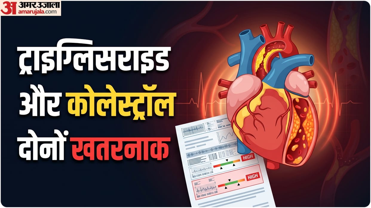 triglycerides and cholesterol difference know heart problems risk factors in hindi