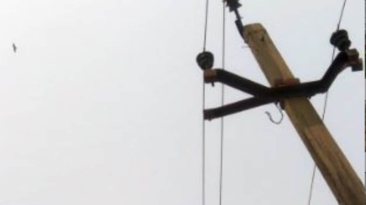 Youth dies and five others suffer burns after electric shock in Budaun