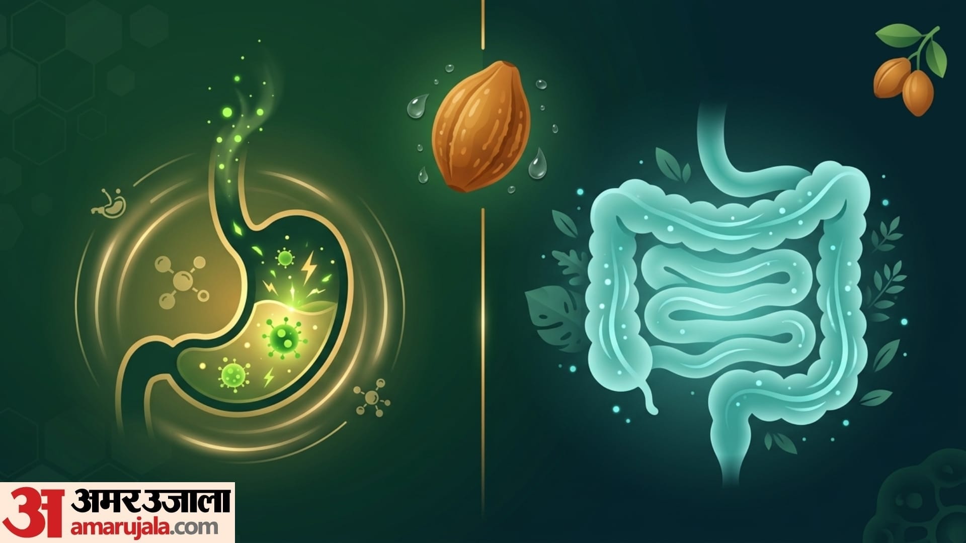 benefits of drinking haritaki water everyday in hindi harad ka pani peene ke fayde