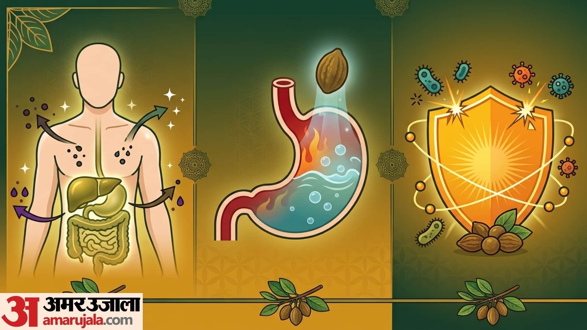 benefits of drinking haritaki water everyday in hindi harad ka pani peene ke fayde