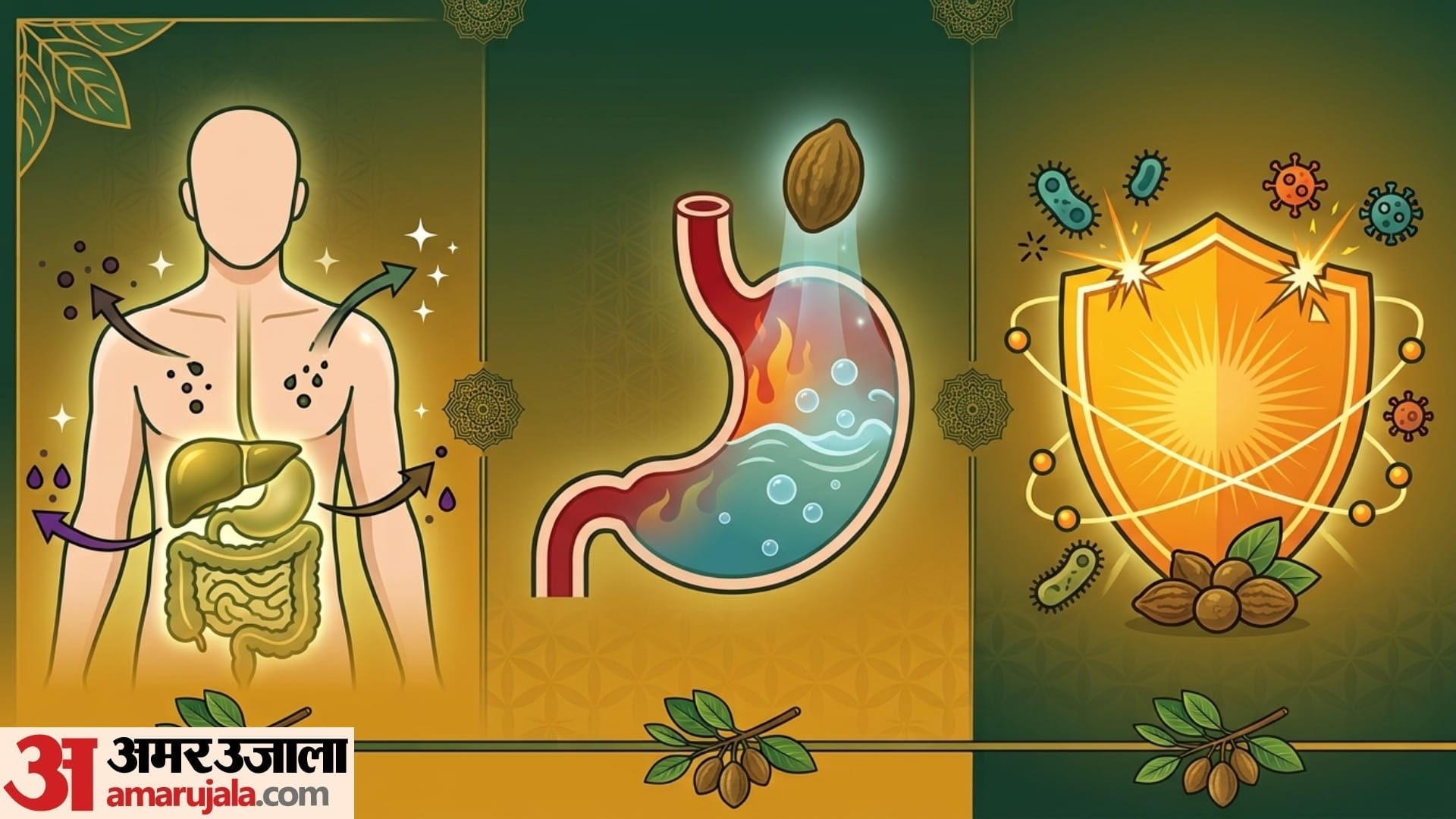 benefits of drinking haritaki water everyday in hindi harad ka pani peene ke fayde