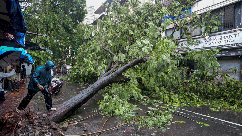 Mumbai Rain Alert Live Update House collapses due to landslide in Pune; IMD issues alert.