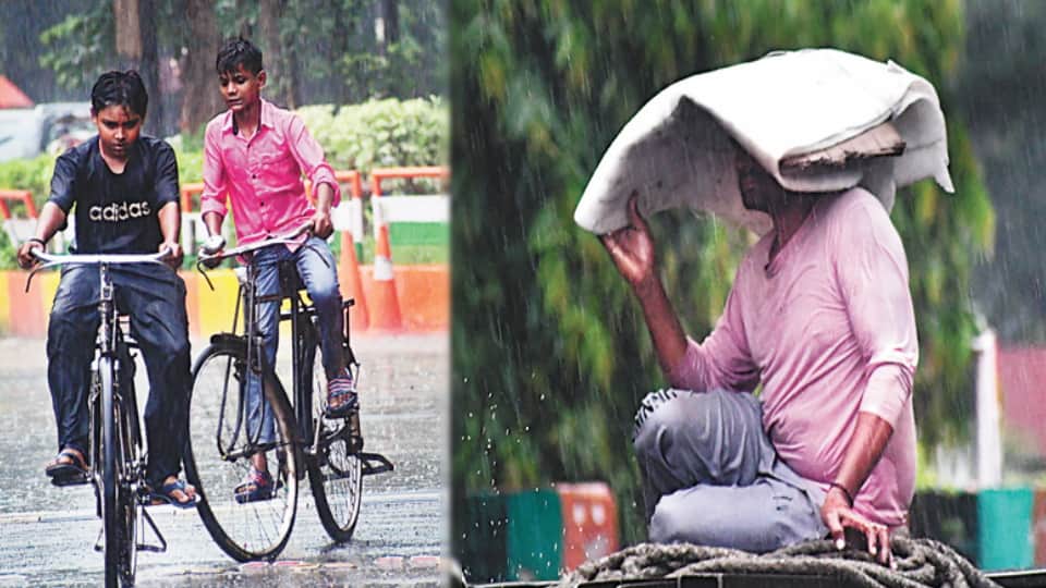 मेरठ में बारिश