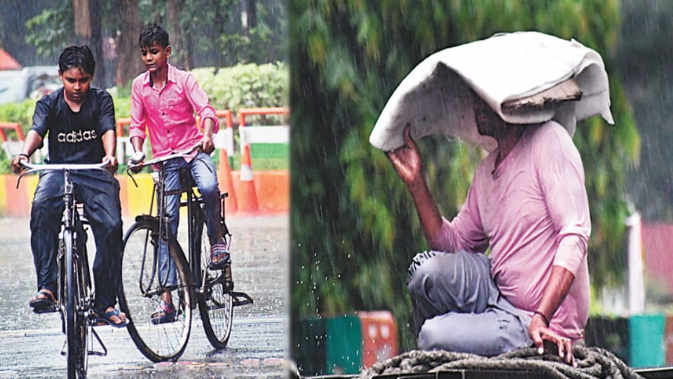 मेरठ में बारिश