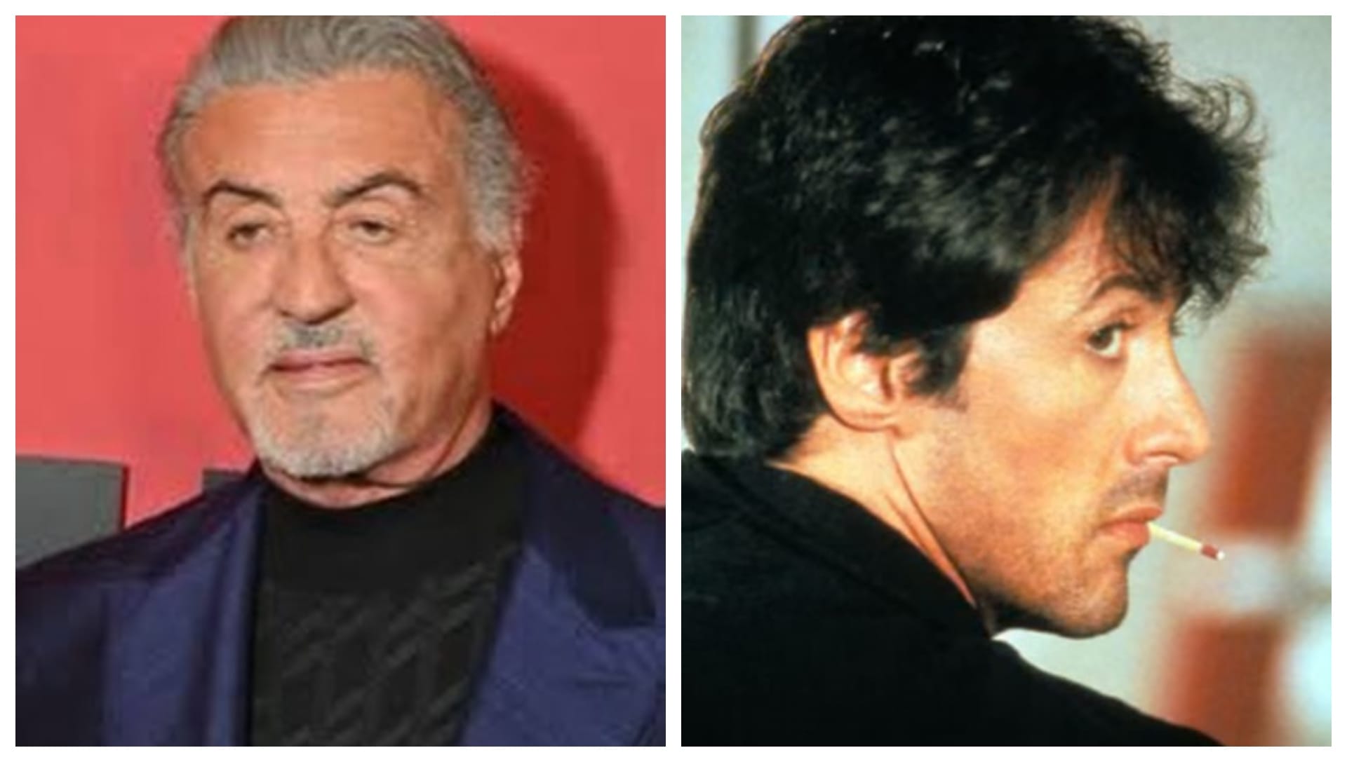sylvester stallone 80th birthday wish by bollywood actress esha deol share special post