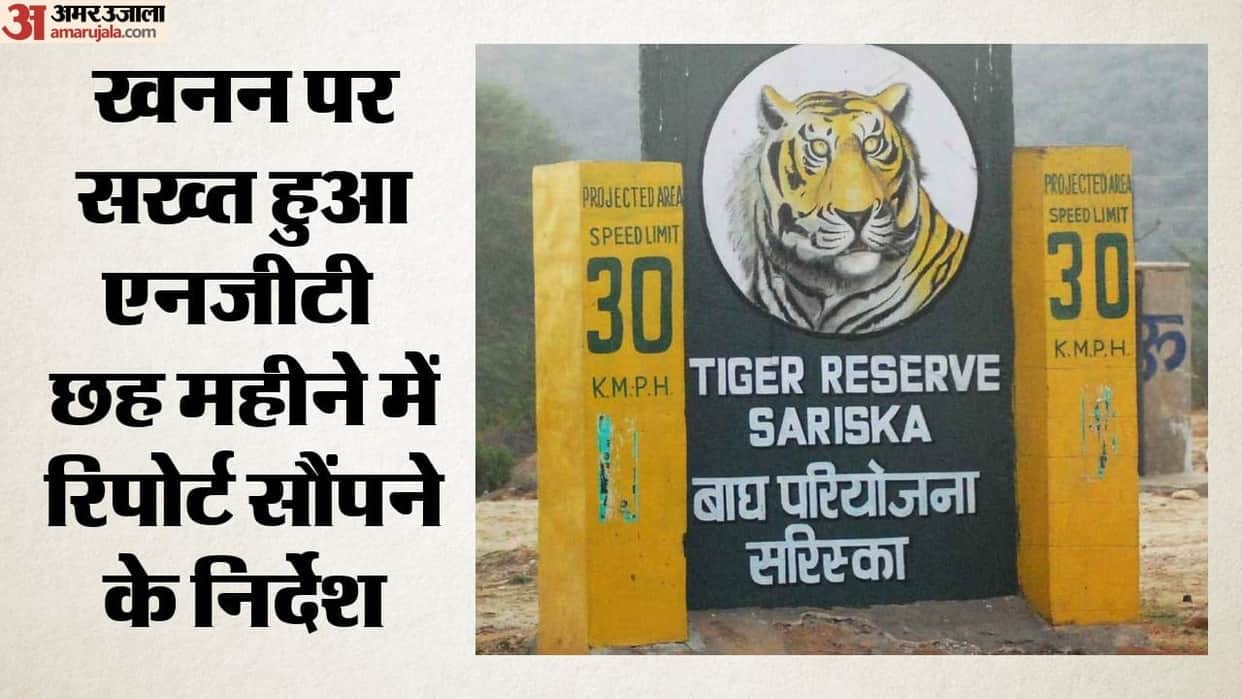 NGT Orders Probe into Mining Near Sariska Tiger Reserve, Seeks Report Within Six Weeks
