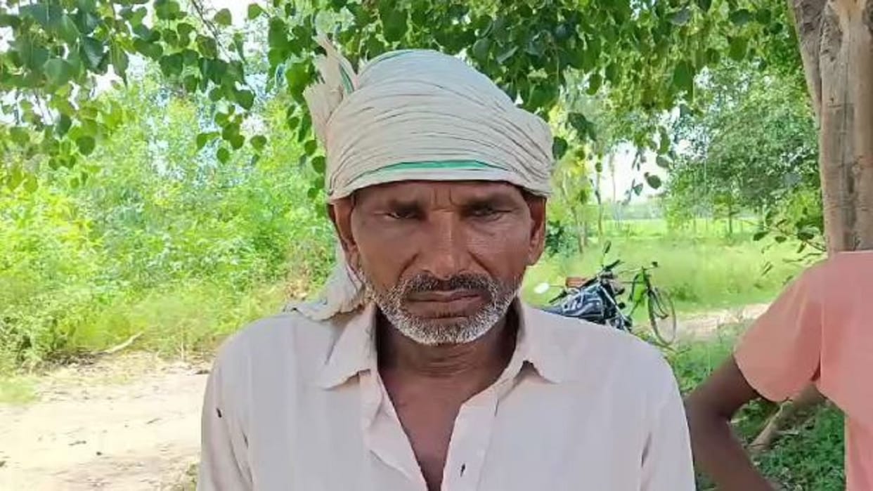 buffalo dies of electrocution electricity corporation accused of negligence in pilibhit
