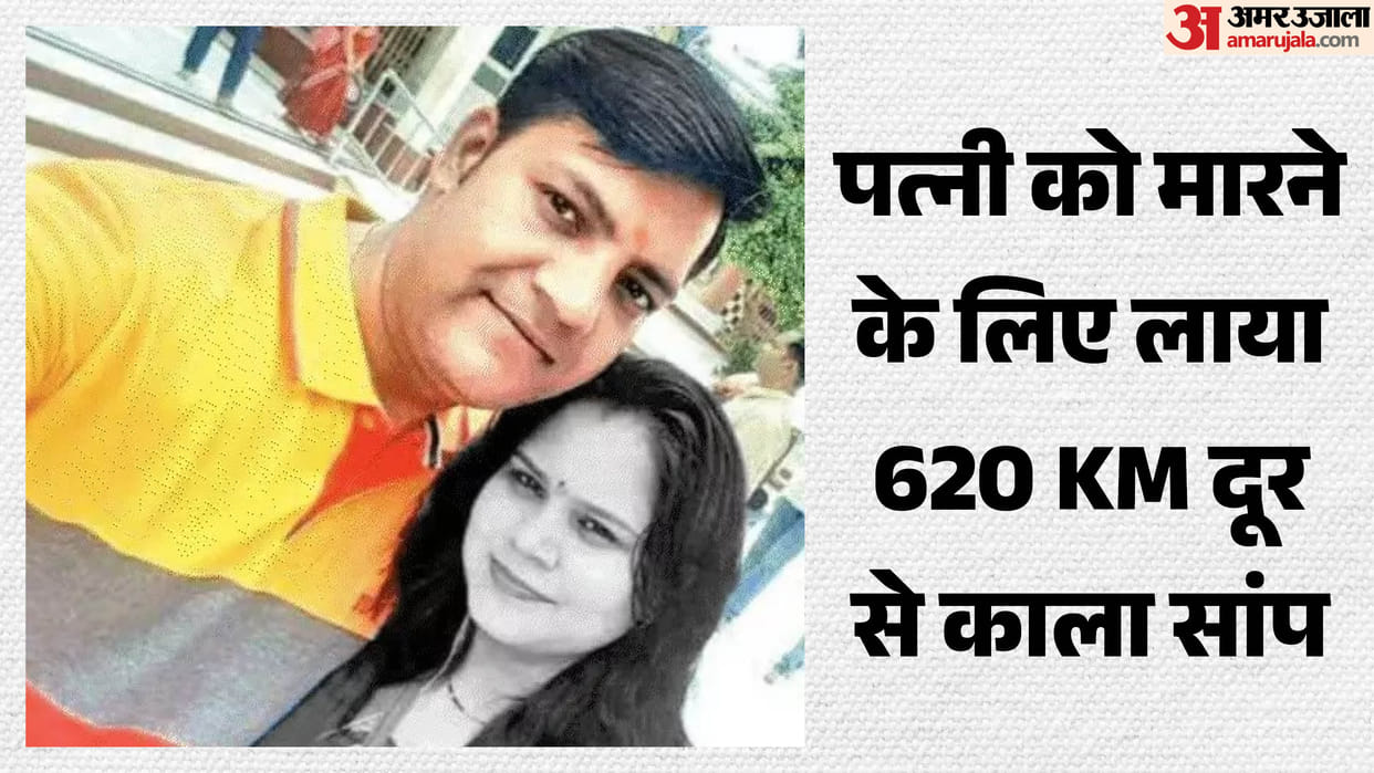 indore-news-bank-officer-shivani-murder-case-cobra-bite-story