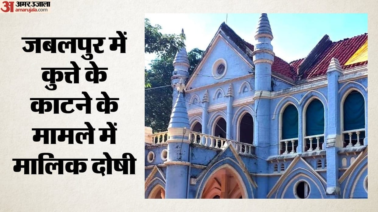 Jabalpur: Owner punished for pet dog bite sentenced to imprisonment until the rising of the court and fined