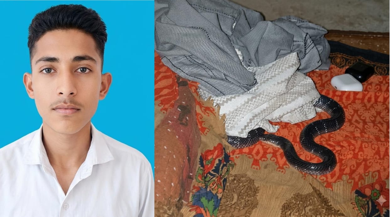 Kanpur Class 11 student dies of snakebite the snake remained coiled on the bed for 18 hours