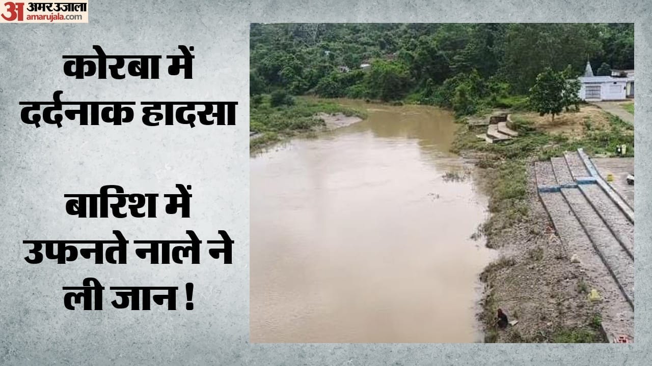 कोरबा में दर्दनाक हादसा