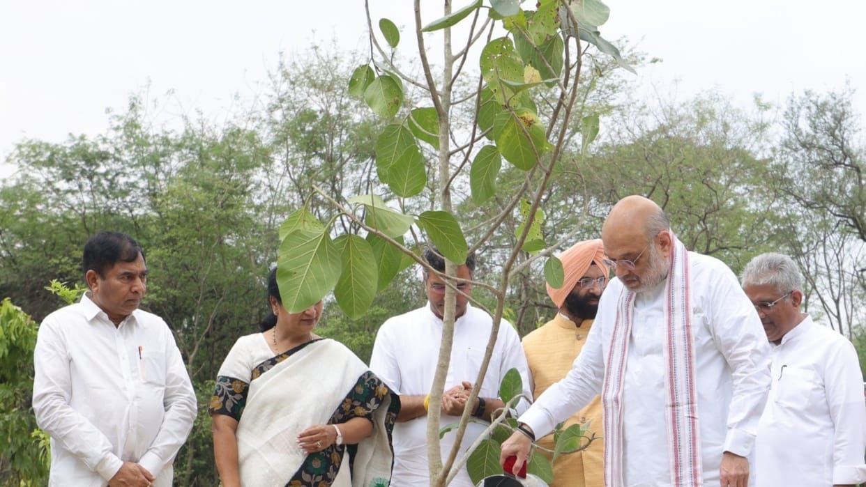 Amit Shah Launches 7 Million Tree Plantation Drive Under 'Ek Ped Maa Ke Naam' Campaign