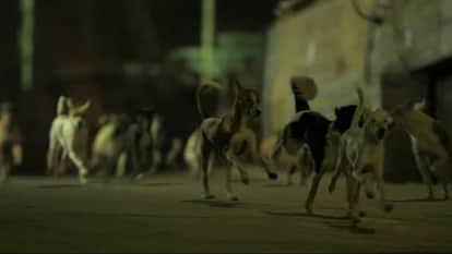 Ohh My Dog teaser release the tease show the nice story of relation between Dog and human