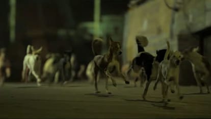 Ohh My Dog teaser release the tease show the nice story of relation between Dog and human