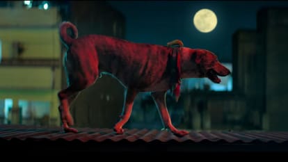Ohh My Dog teaser release the tease show the nice story of relation between Dog and human