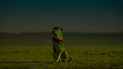 Ohh My Dog teaser release the tease show the nice story of relation between Dog and human