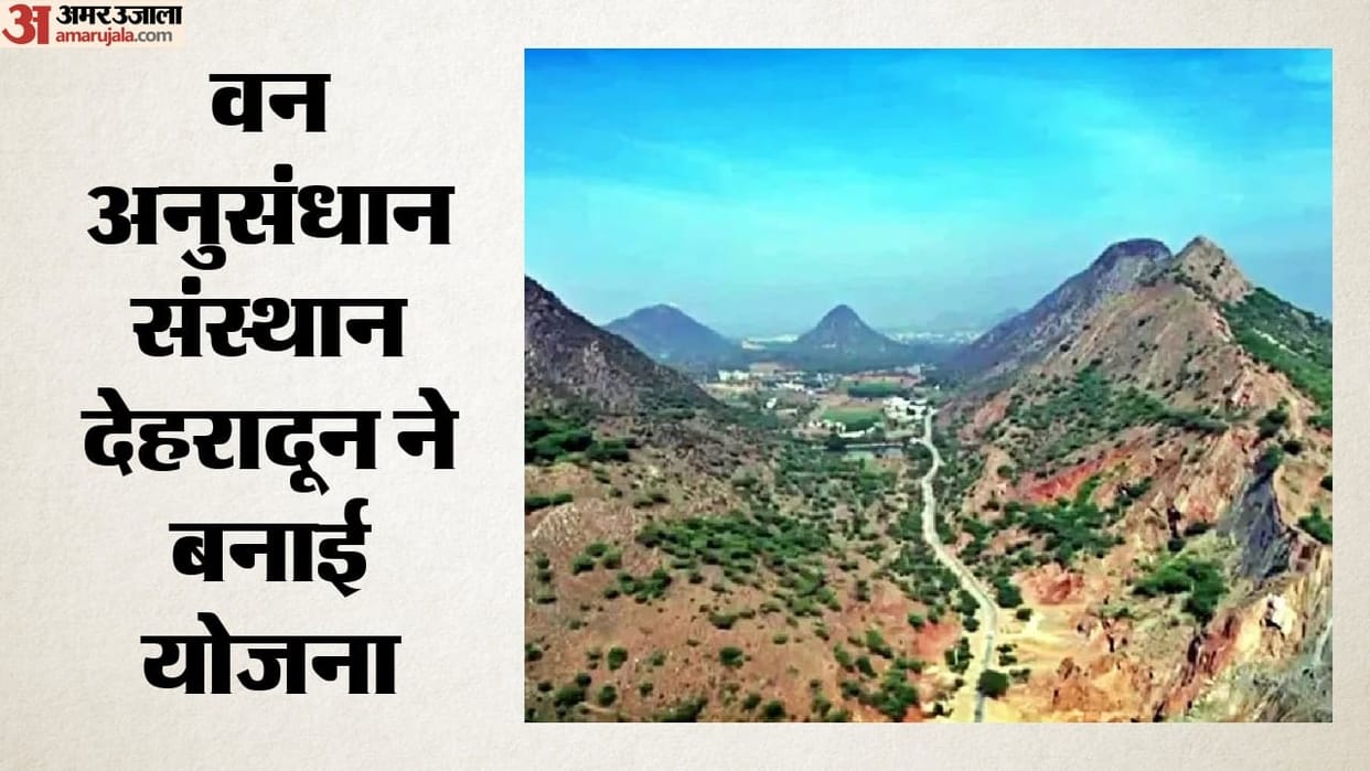 Aravalli native forest to return to Delhi Ridge, a 10-year plan.