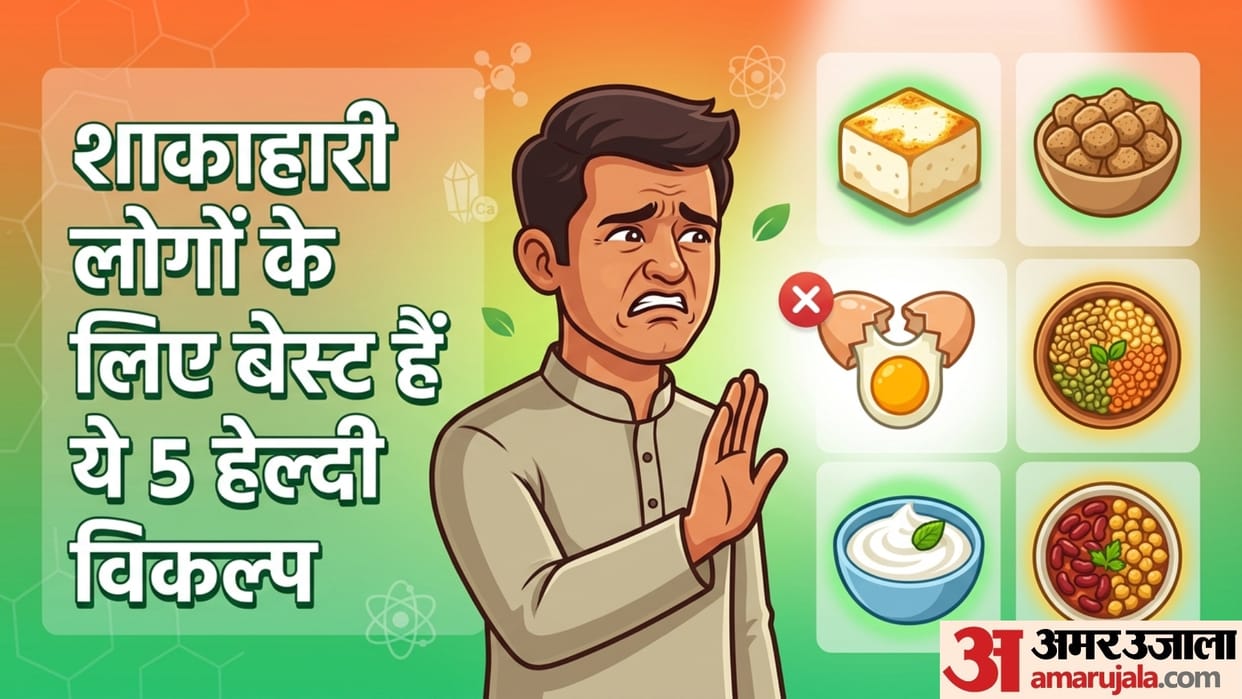 Effective Substitutes for Eggs what is the replacement of egg for vegetarians
