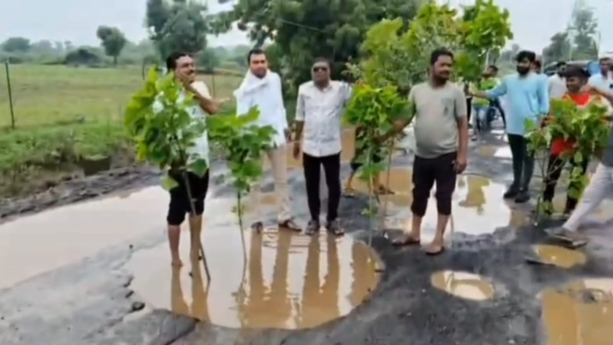 Omkareshwar: Farmers stage a unique protest by planting shameless saplings in dilapidated road and potholes