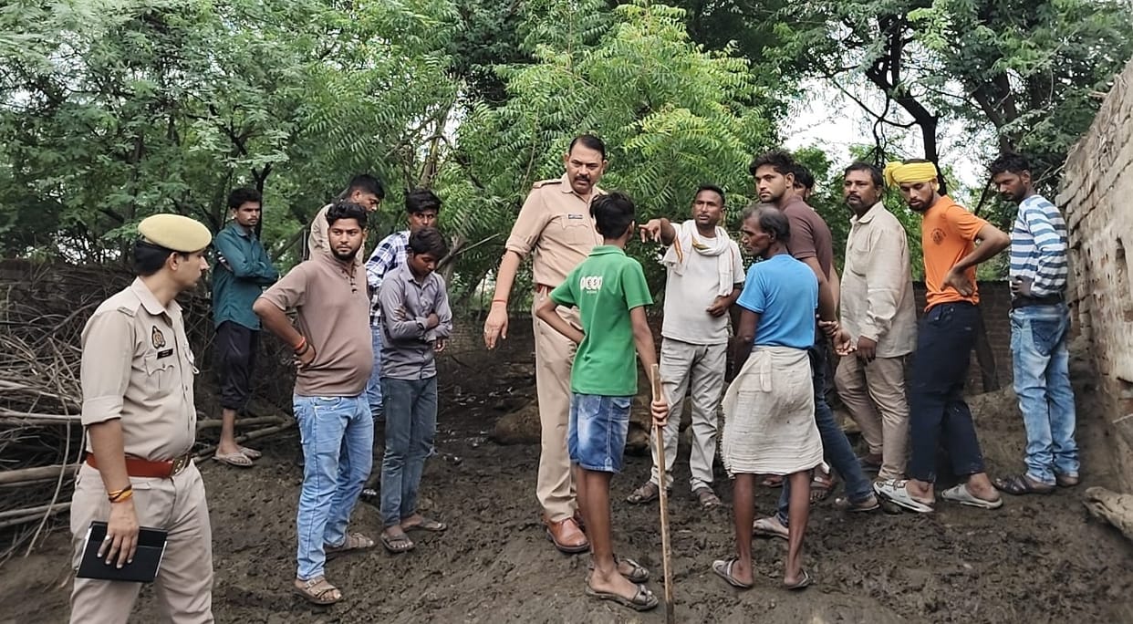 Auraiya Terror of stray dogs 40 sheep killed after dogs entered the enclosure losses estimated in the lakhs
