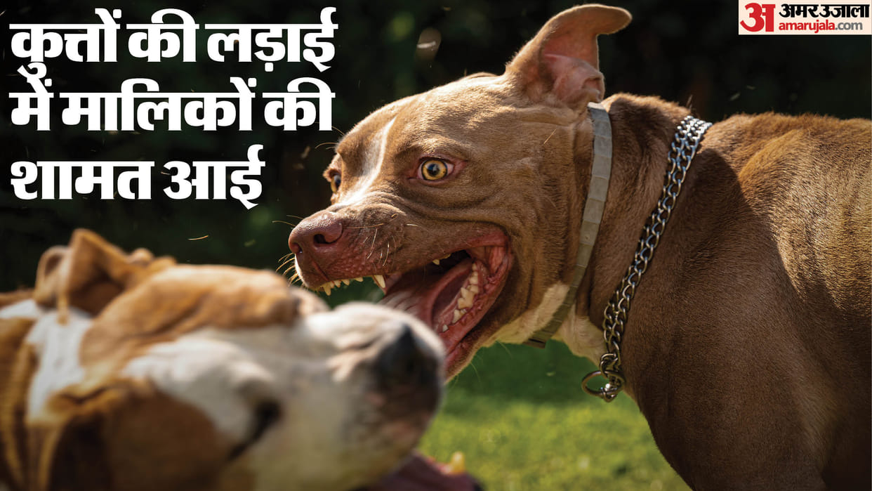 Dog fight and clash between owners nagar nigam team visits home told dog has gone to Paltan Bazar