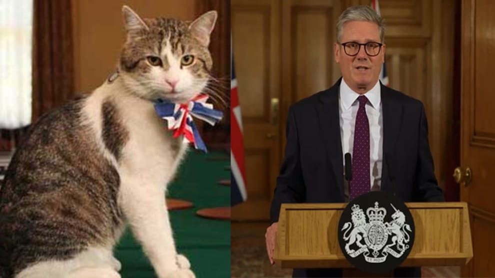 larry-the-cat-10-downing-street-britain-famous-chief-mouser-story