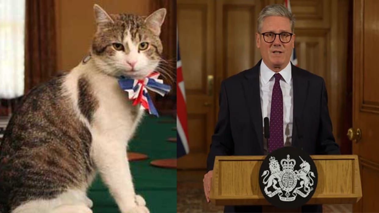 larry-the-cat-10-downing-street-britain-famous-chief-mouser-story
