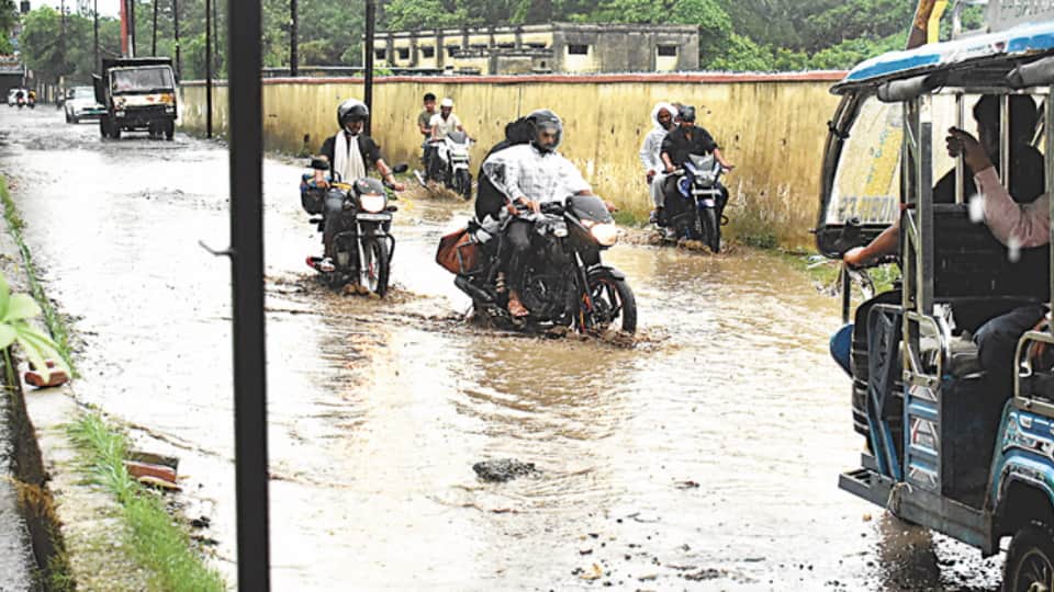 Meerut Rain Havoc: Eight Power Substations Shut, Colonies Waterlogged After Heavy Downpour