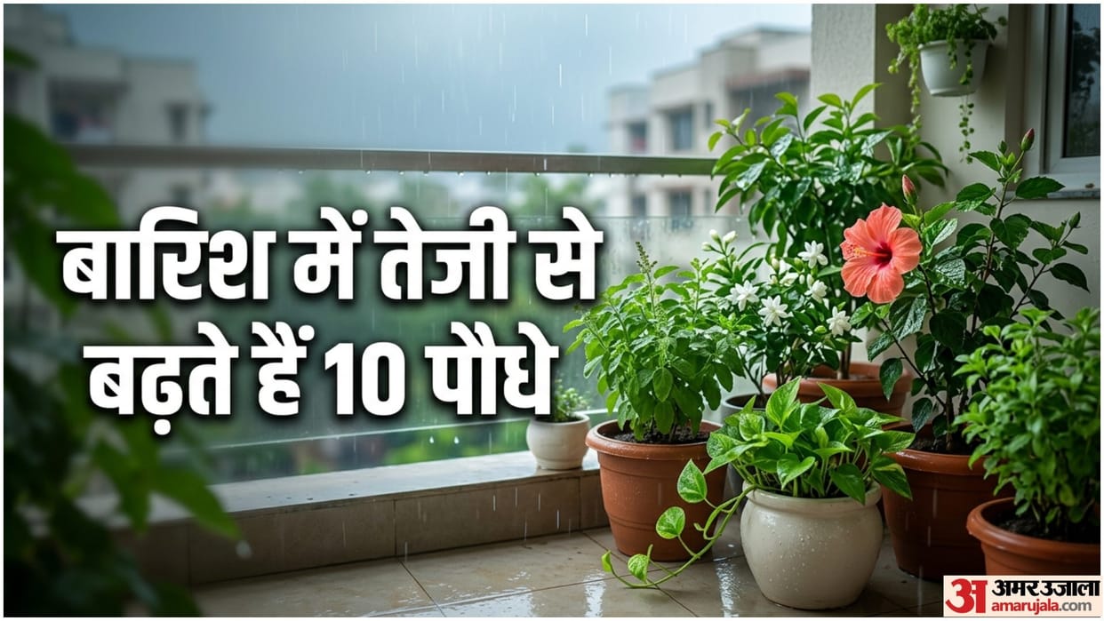 Best Plants For Monsoon Gardening Tips In Hindi Barsaat Me lagane Wale Paudhe