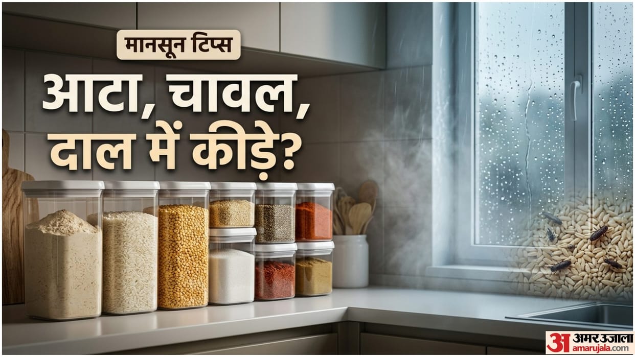 Monsoon Kitchen Storage Tips In Hindi How To Protect Grains From Insects Rainy Season