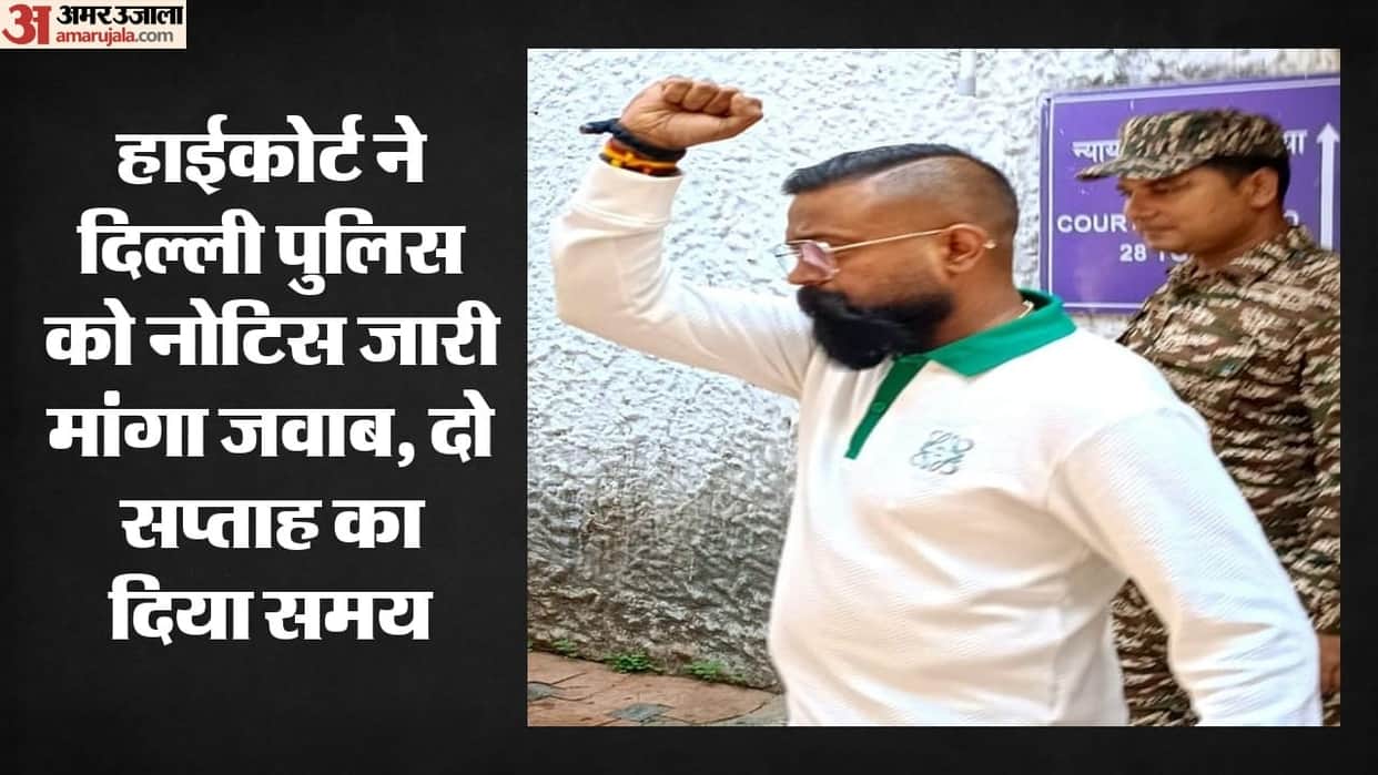 High Court seeks response from police on plea filed by Sukesh associate Pinky  in delhi