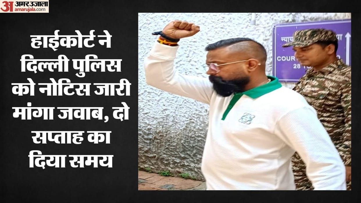 High Court seeks response from police on plea filed by Sukesh associate Pinky  in delhi