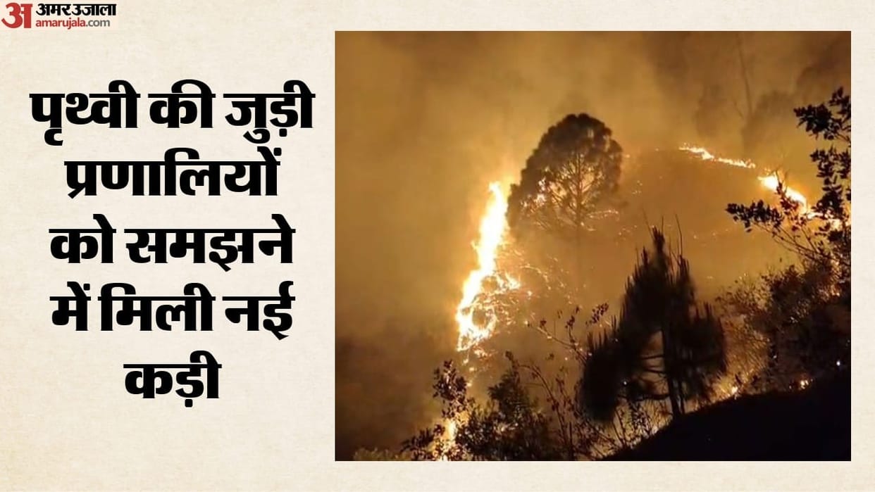 ancient-ocean-oxygen-loss-preceded-wildfires-370-million-year-old-extinction-study