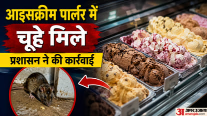 आइसक्रीम पार्लर में मिले चूहे
