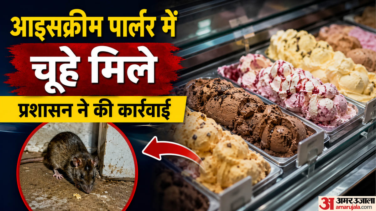 चूहे, मक्खियां और एक्सपायर्ड फ्लेवर: मुंबई के मशहूर आइसक्रीम पार्लर पर FDA का एक्शन, जांच में क्या मिला?