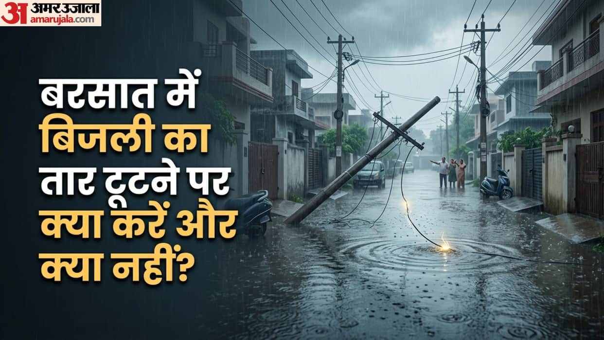 Broken Electricity Wire or Pole Fallen in Rain? How to File Urgent Complaint for Immediate Power Cut