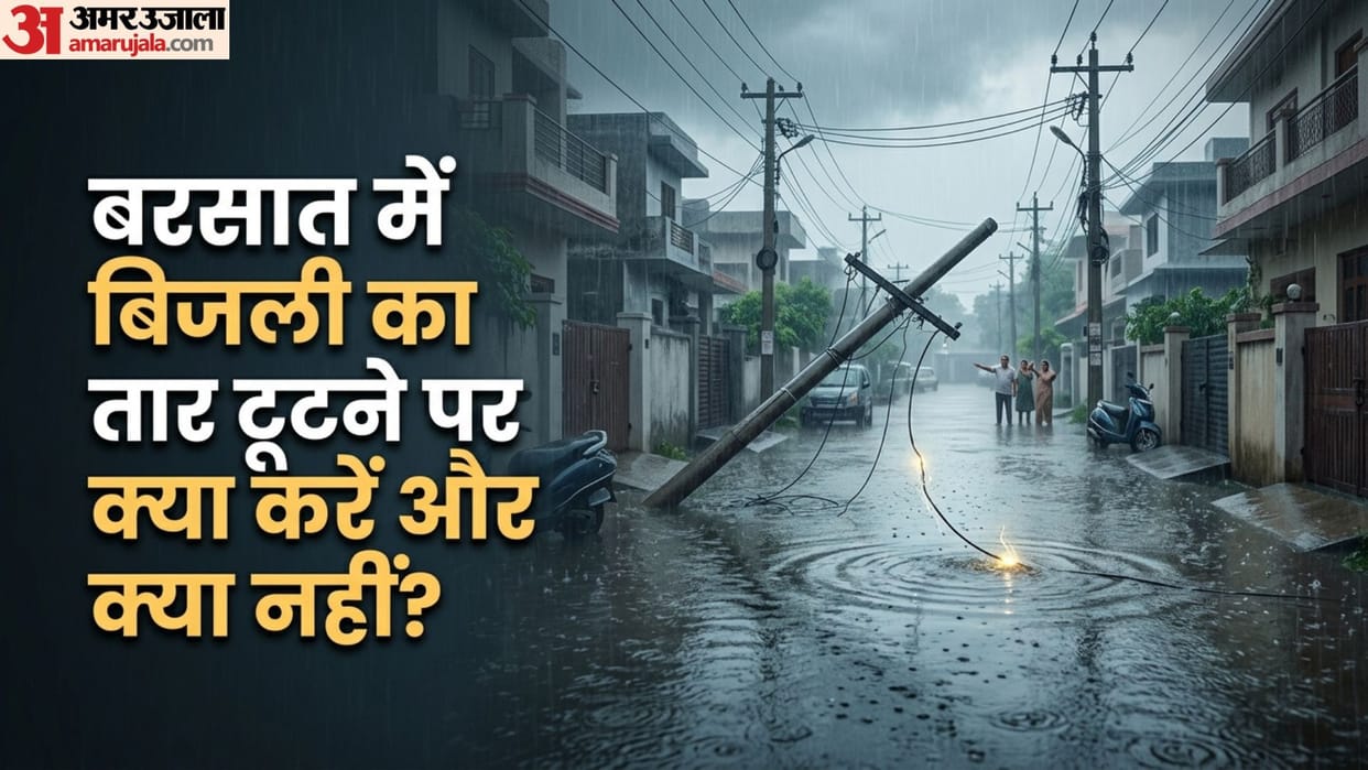 Broken Electricity Wire or Pole Fallen in Rain? How to File Urgent Complaint for Immediate Power Cut