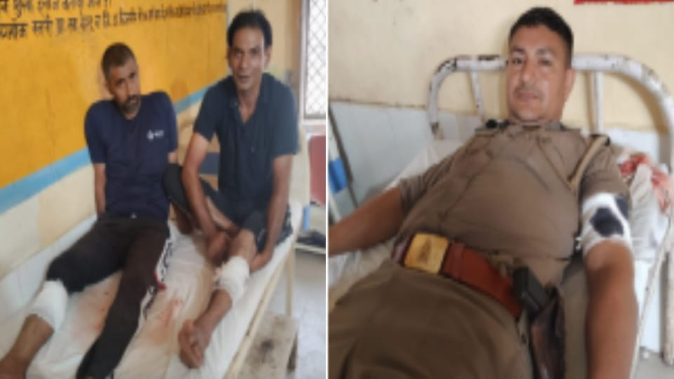 Bijnor Encounter: Two Accused Shot and Arrested After Firing at Police During Cow Slaughter Raid