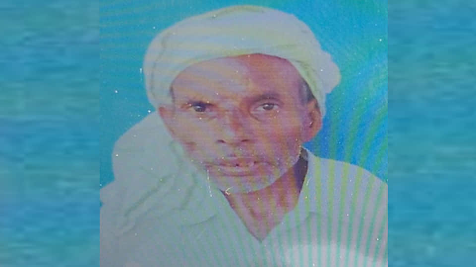 Unnao: Bike collides with a bull; father dies, son critically injured